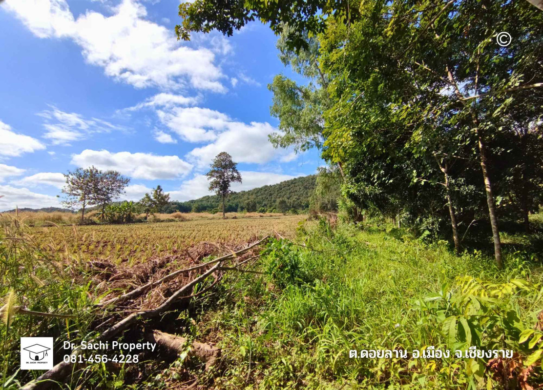 ที่ดินเปล่า เชียงราย เมืองเชียงราย ดอยลาน 4950000