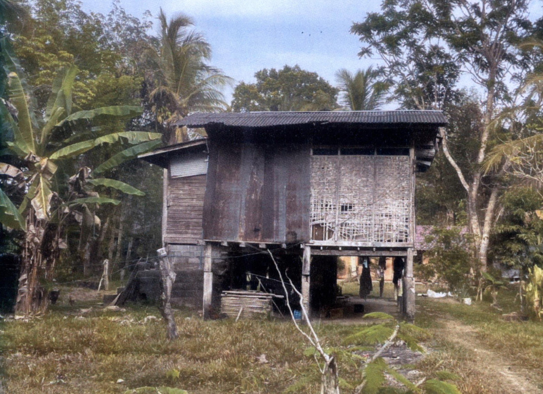 บ้านเดี่ยว สงขลา จะนะ บ้านนา 1453100