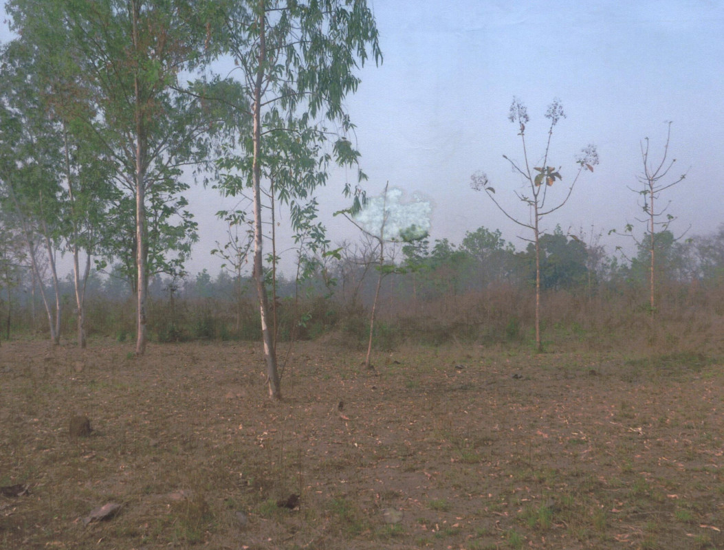 ที่ดินเปล่า ลำปาง เมืองลำปาง ชมพู 162000