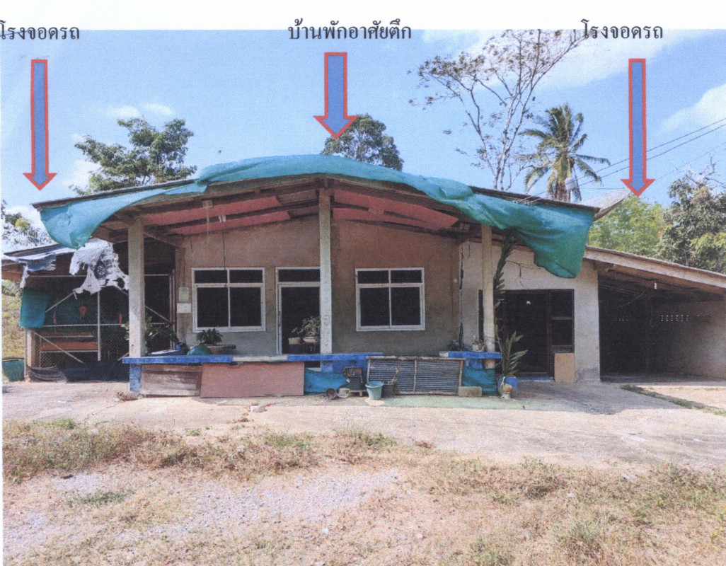 บ้านเดี่ยว สงขลา สะเดา ปริก 1473413