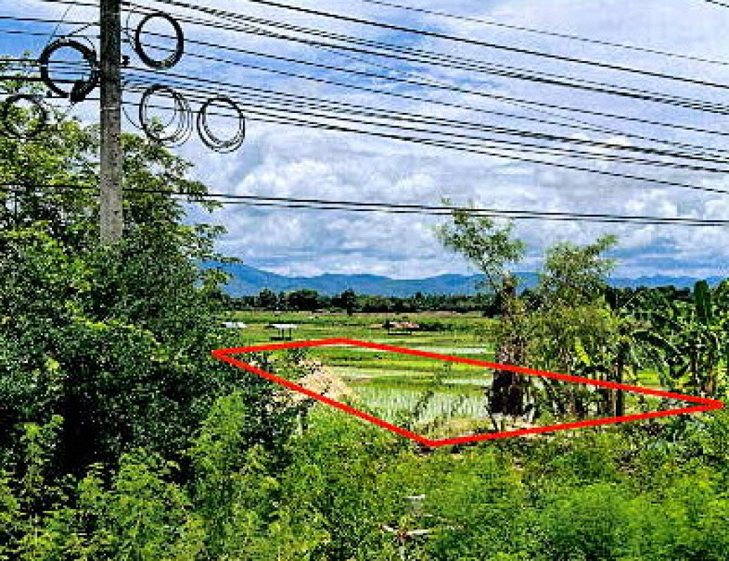 ที่ดินเปล่า ลำปาง เถิน แม่วะ 411400