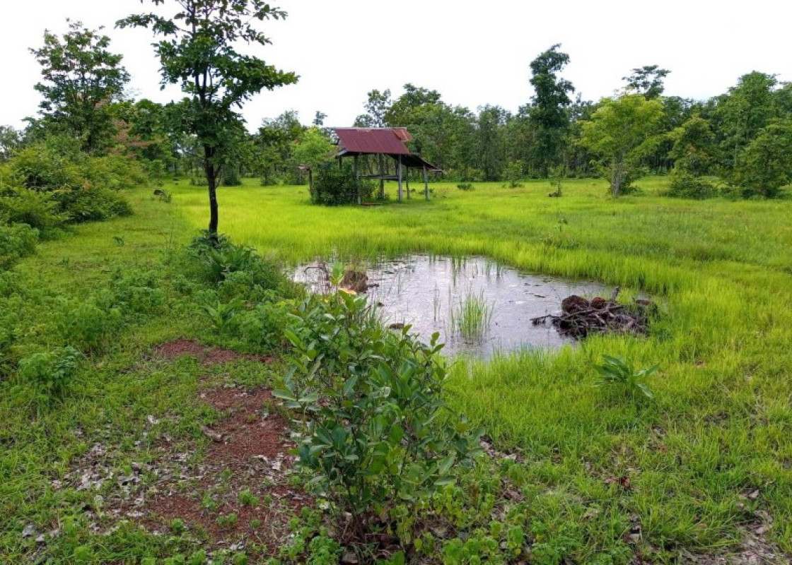 Single house Sakon Nakhon Charoen Sin Thung Kae 1703840
