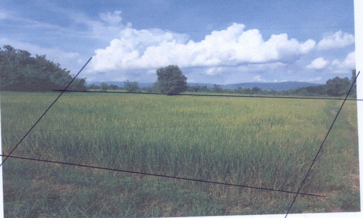 ที่ดินเปล่า ลำปาง เมืองลำปาง บ้านเอื้อม 125000