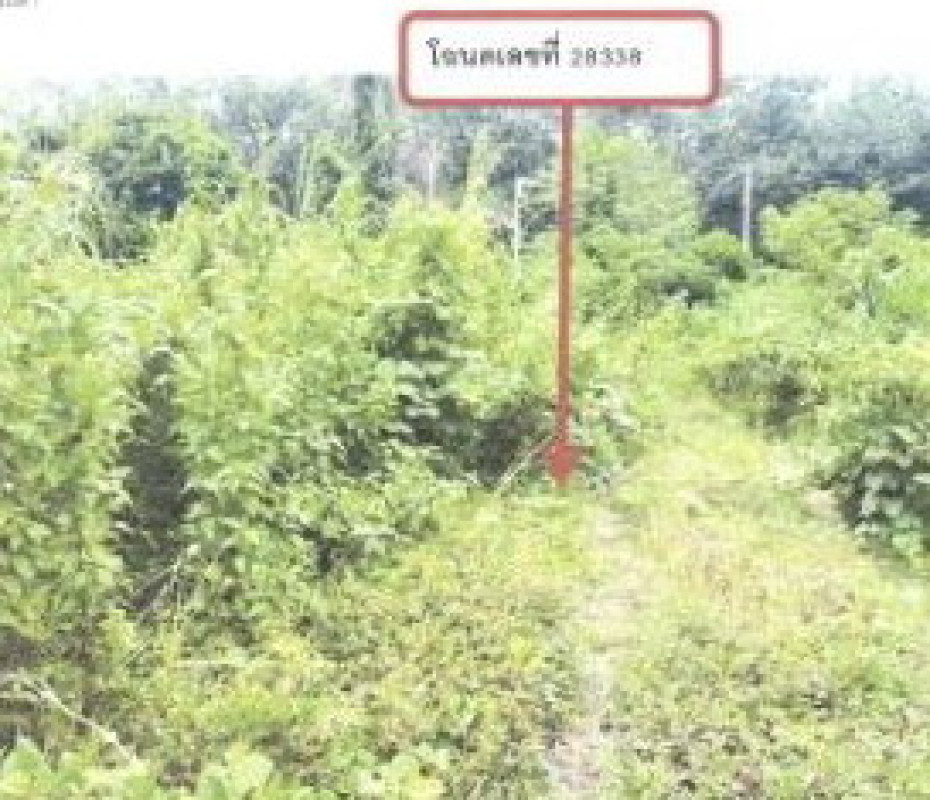ที่ดินเปล่า สงขลา นาทวี คลองทราย 40000