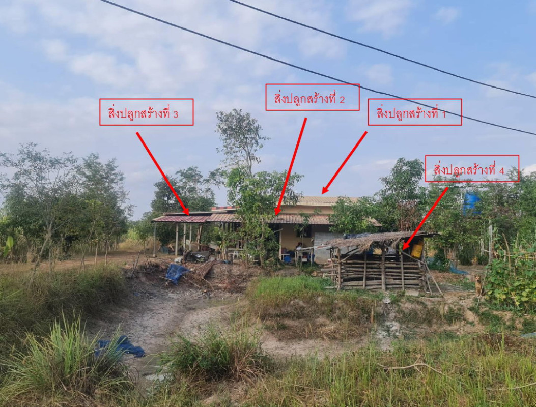 บ้านเดี่ยว สกลนคร พังโคน ต้นผึ้ง 743498