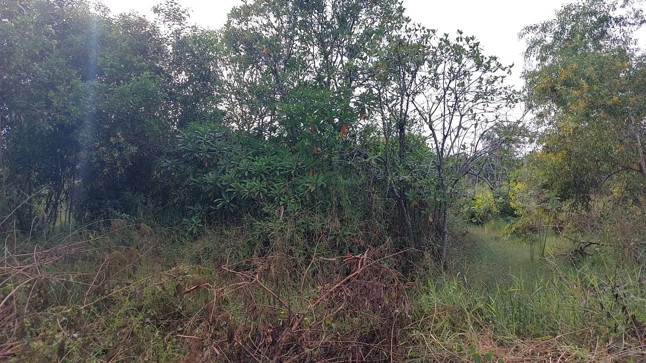 ที่ดินเปล่า ปทุมธานี ธัญบุรี บึงน้ำรักษ์ 3000000