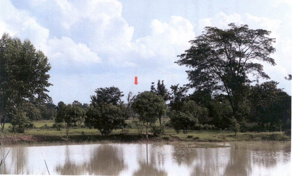 ที่ดินเปล่า กาฬสินธุ์ เมืองกาฬสินธุ์ ลำปาว 236000