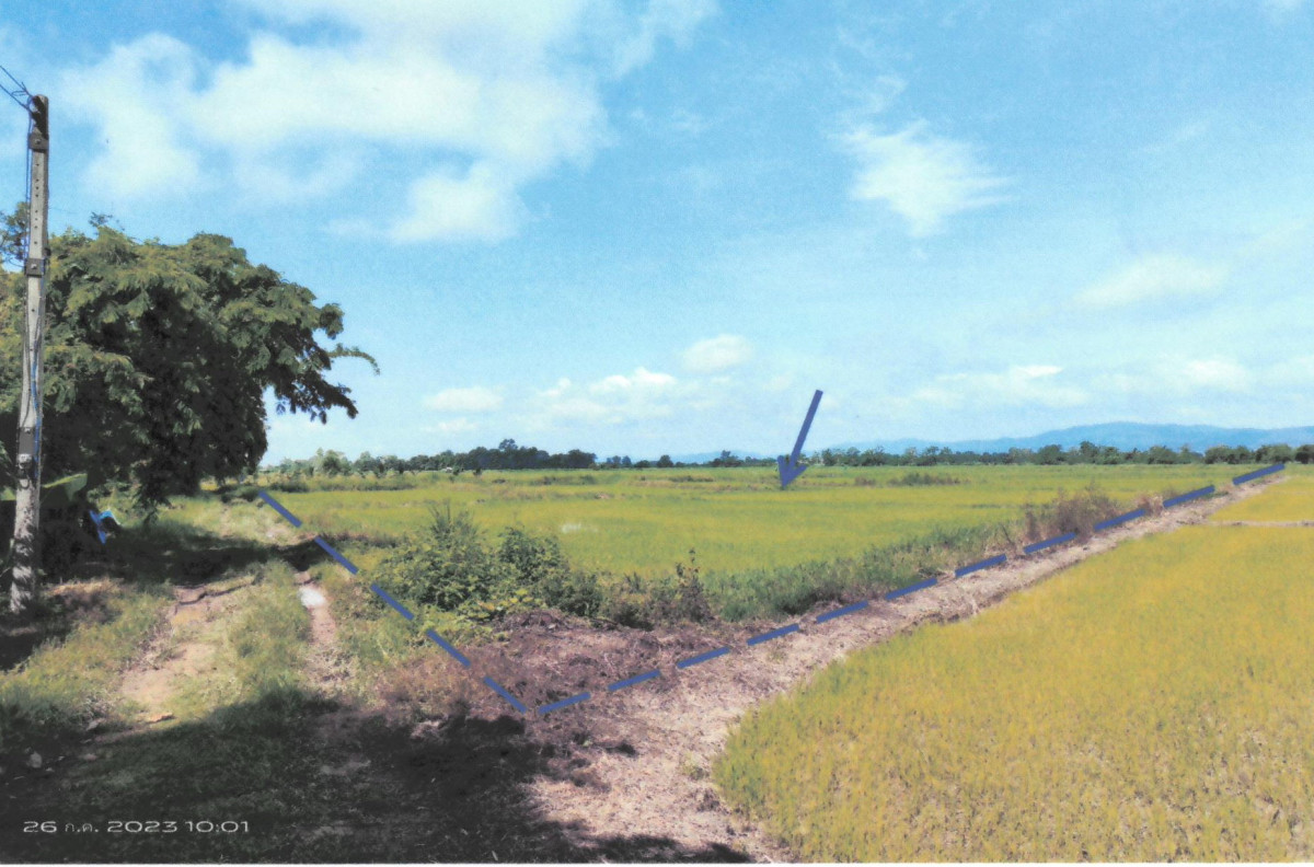 ที่ดินเปล่า เชียงราย เชียงของ สถาน 427000