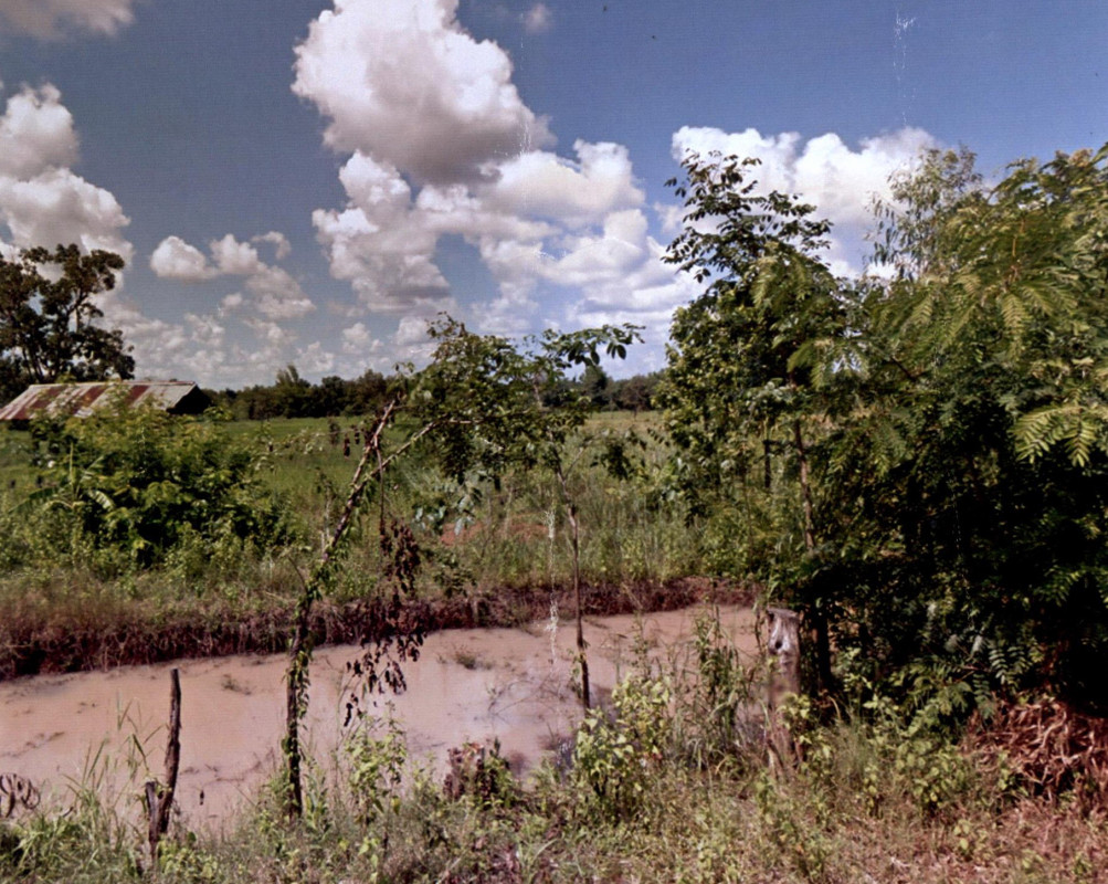 ที่ดินเปล่า สกลนคร วานรนิวาส หนองสนม 159640