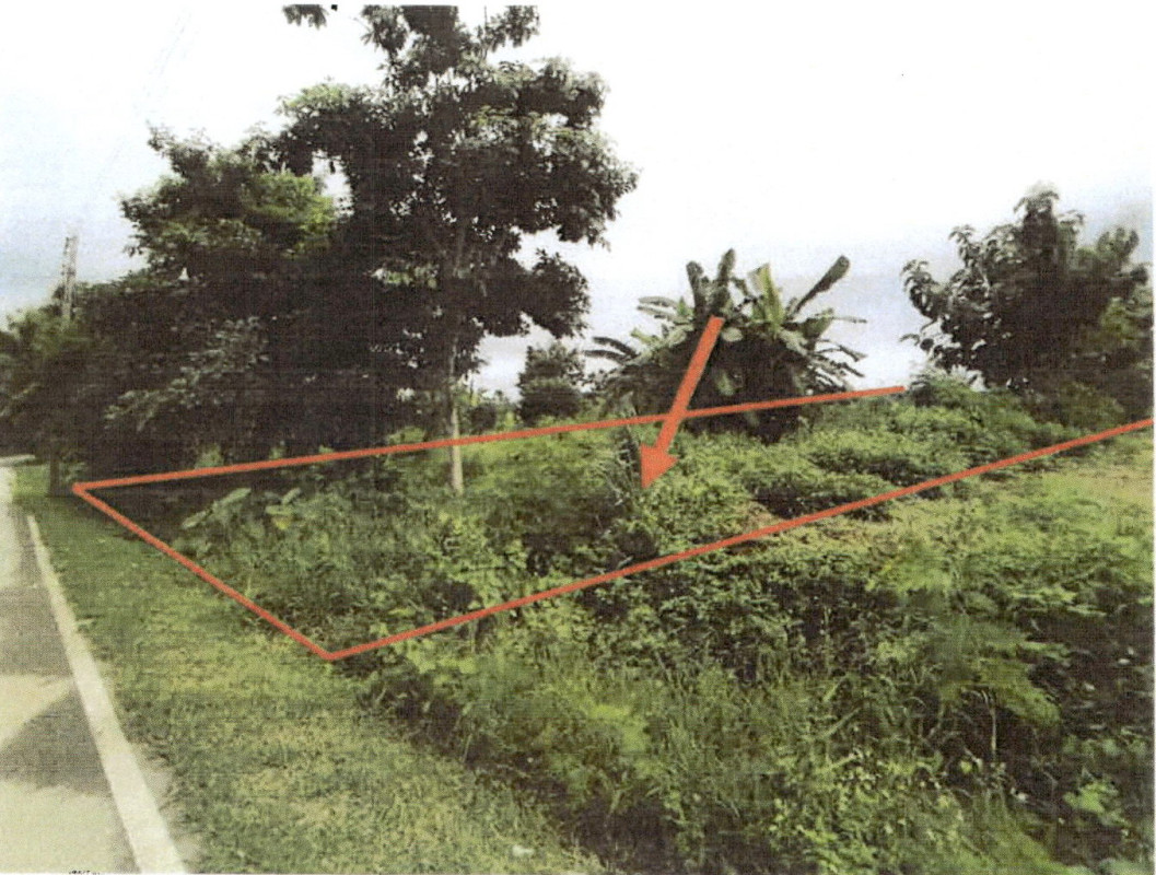 ที่ดินเปล่า ลำปาง เมืองลำปาง บ่อแฮ้ว 1166540