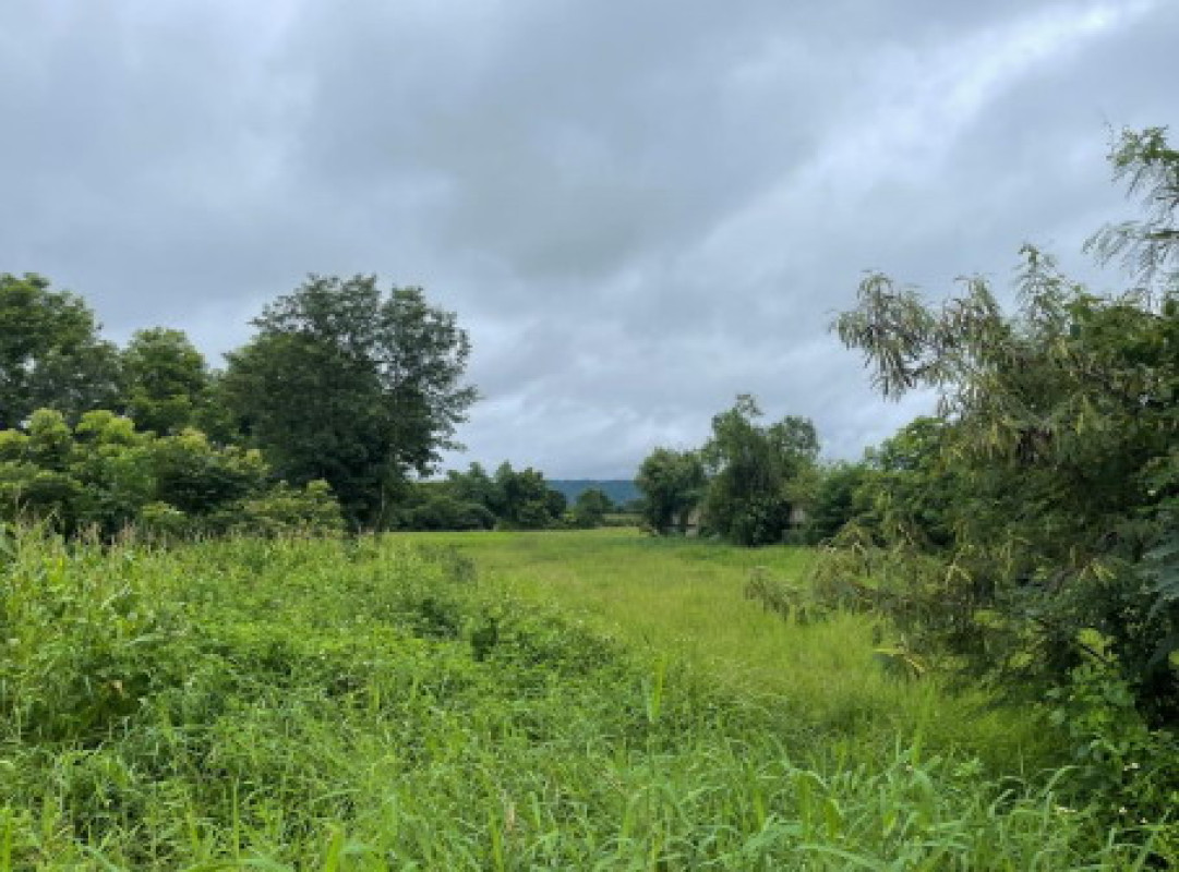 Residential land/lot Chiang Rai Chiang Khong Sathan 185250