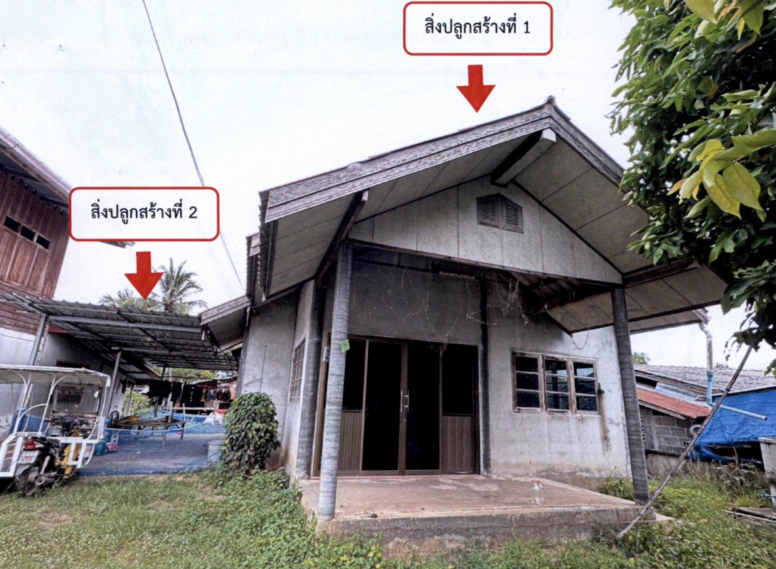 บ้านเดี่ยว สุรินทร์ โนนนารายณ์ หนองหลวง 366300