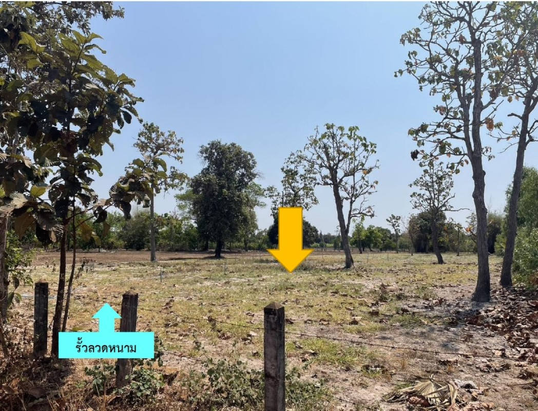 บ้านเดี่ยว สกลนคร พรรณานิคม เชิงชุม 898800