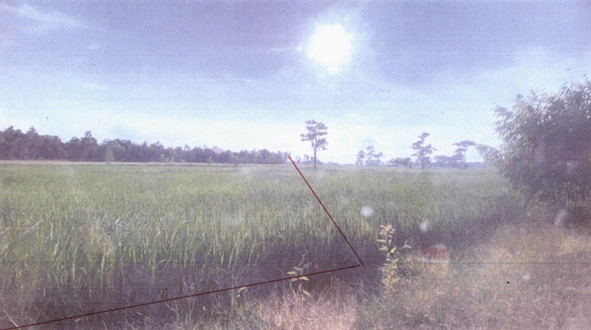 ที่ดินเปล่า สุรินทร์ รัตนบุรี ดอนแรด 258960