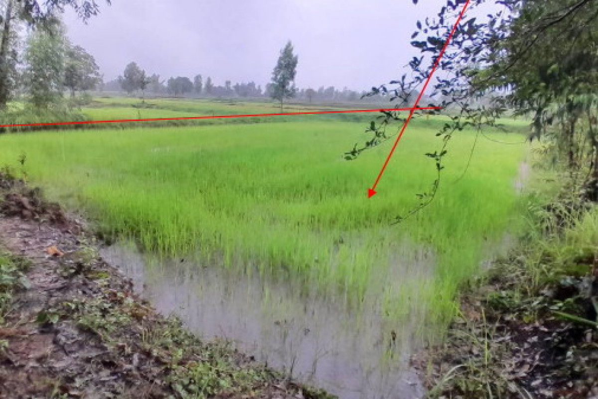 ที่ดินเปล่า อุบลราชธานี เขมราฐ ขามป้อม 285000