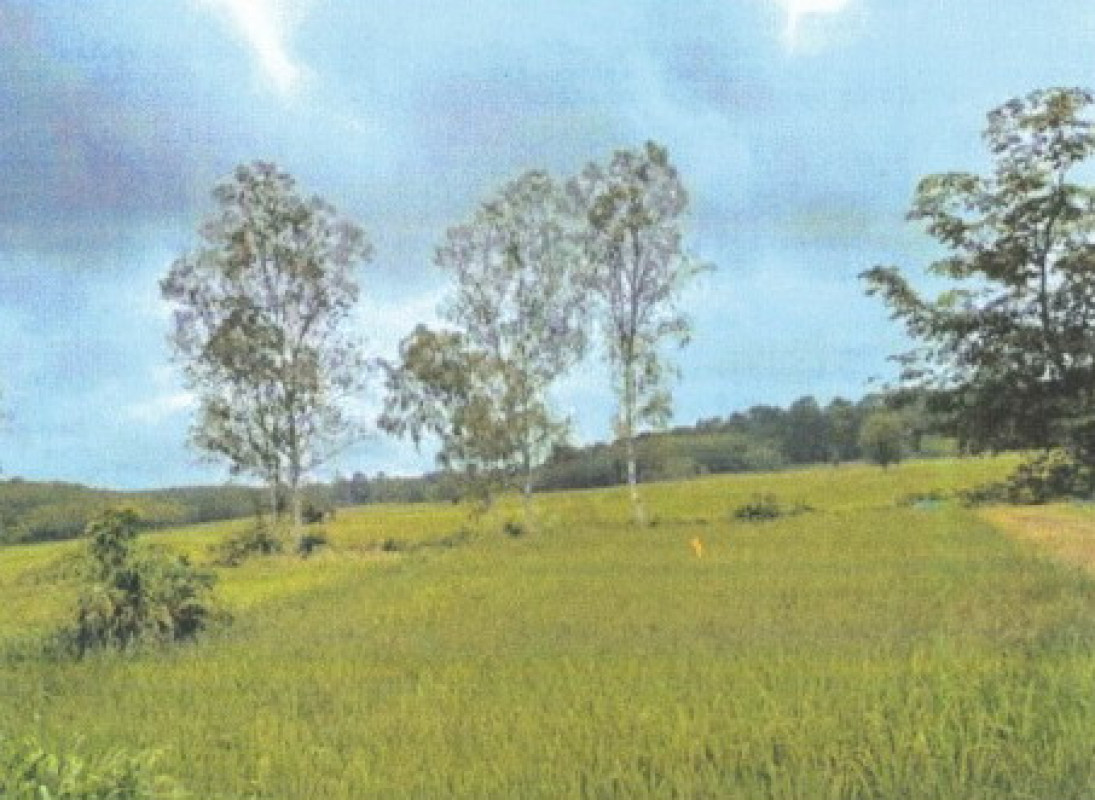 ที่ดินเปล่า สกลนคร วาริชภูมิ หนองลาด 174420