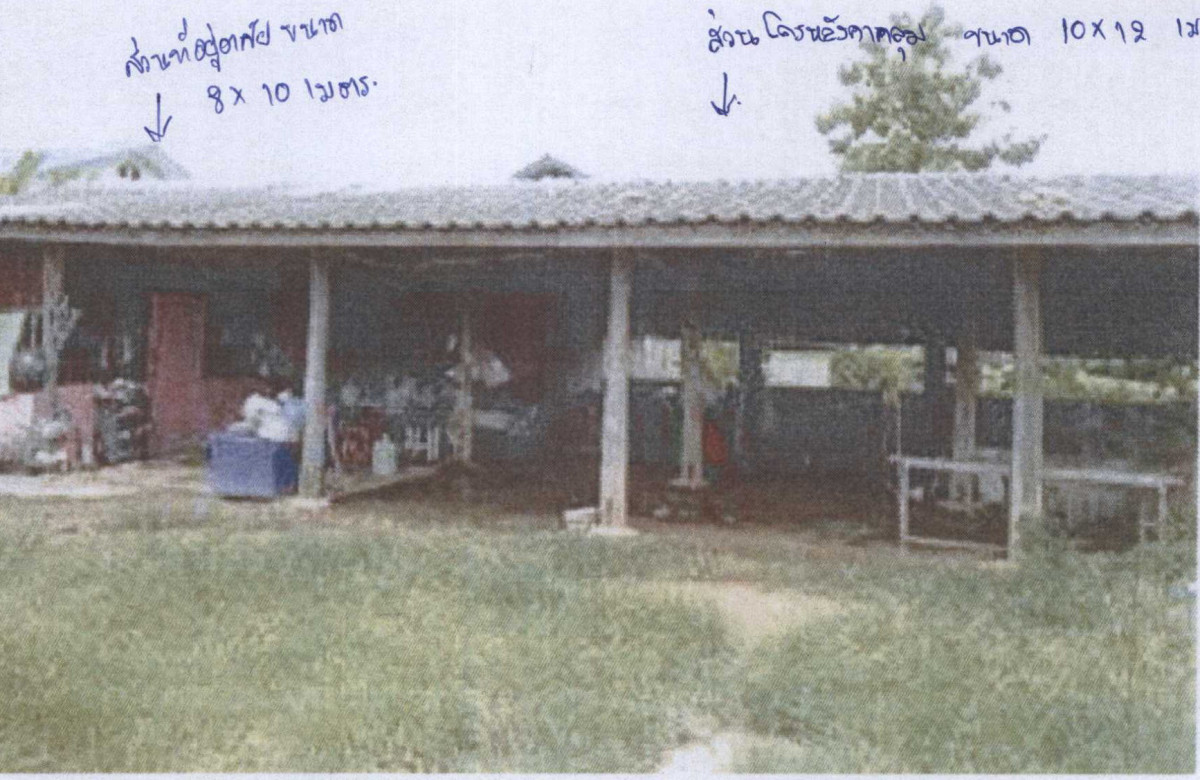 บ้านเดี่ยว เชียงราย พญาเม็งราย ไม้ยา 657570