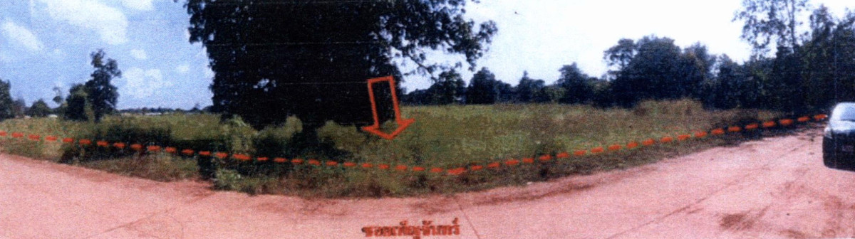 ที่ดินเปล่า สกลนคร บ้านม่วง ม่วง 689000