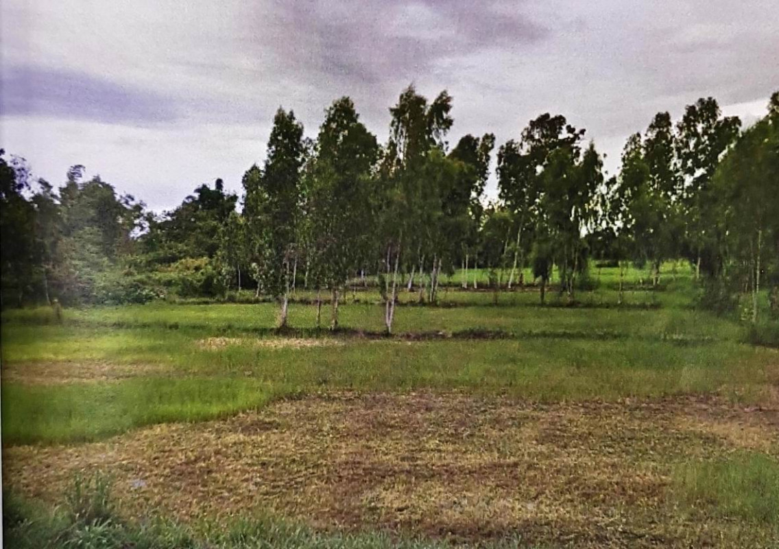 ที่ดินเปล่า อุบลราชธานี บุณฑริก หนองสะโน 94400