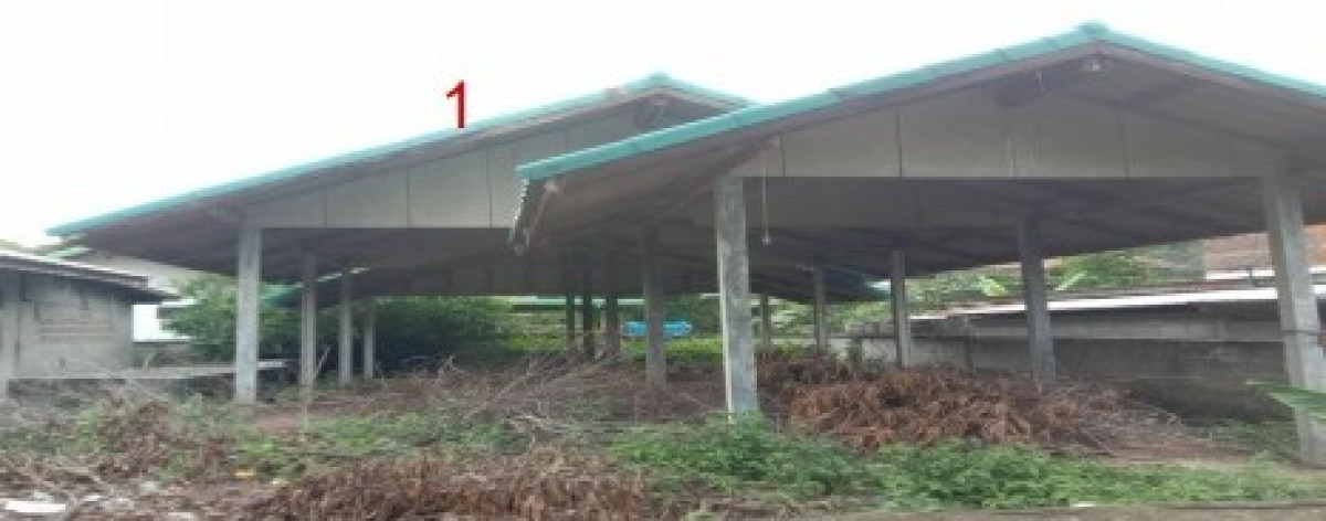 บ้านเดี่ยว กาฬสินธุ์ หนองกุงศรี หนองกุงศรี 486000