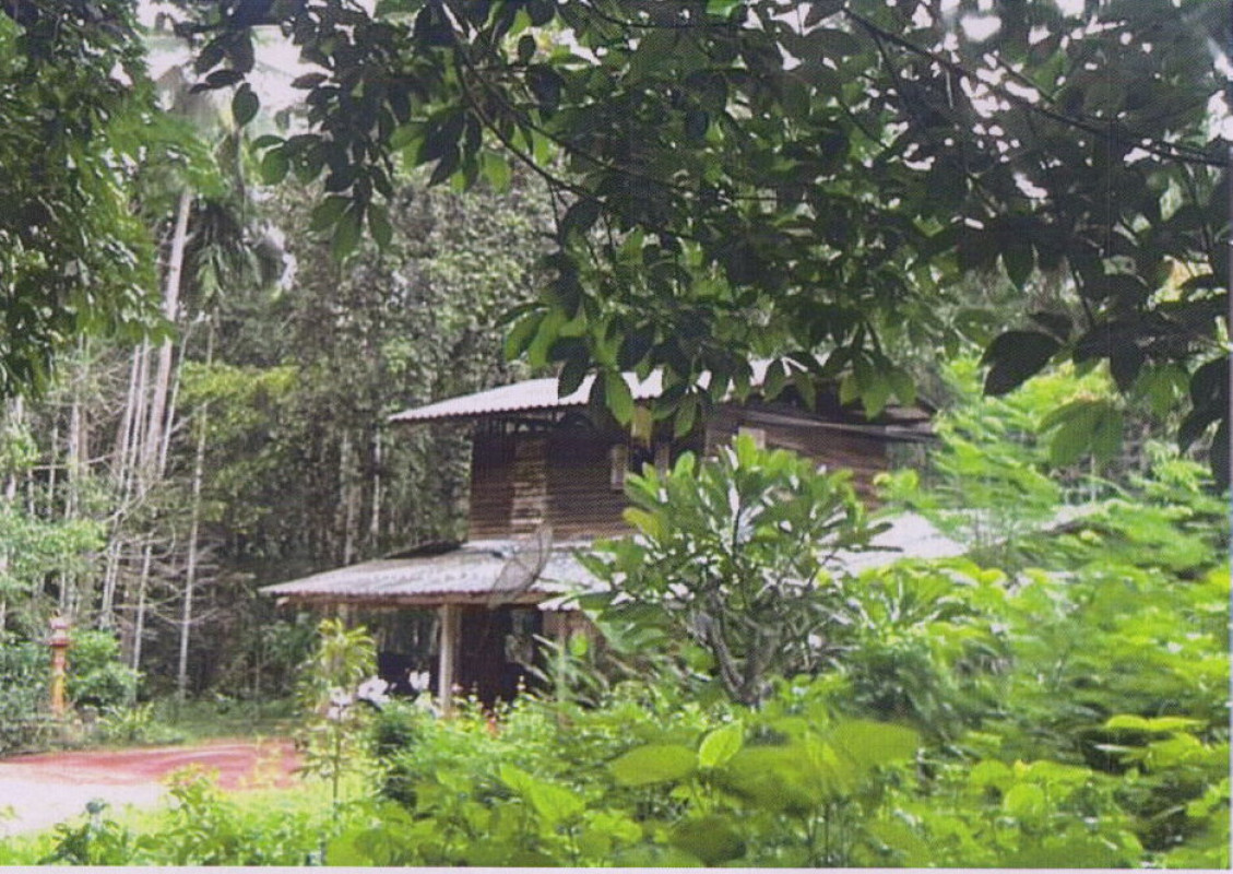 บ้านเดี่ยว สุราษฎร์ธานี พุนพิน บางมะเดื่อ 707480
