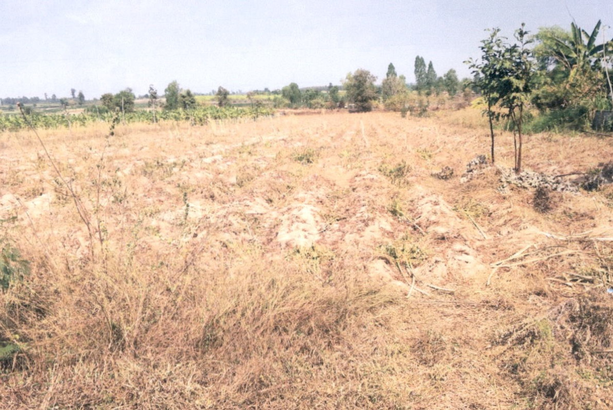 ที่ดินเปล่า กาฬสินธุ์ หนองกุงศรี หนองบัว 595000