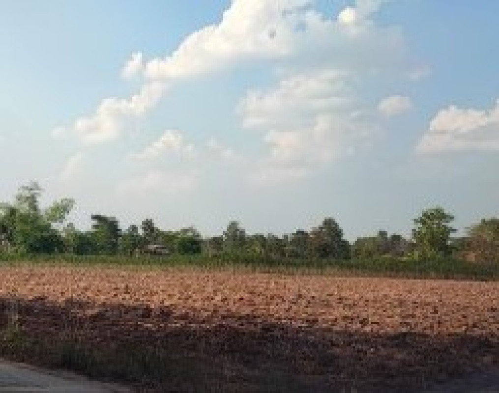ที่ดินเปล่า อุบลราชธานี น้ำขุ่น โคกสะอาด 1211630