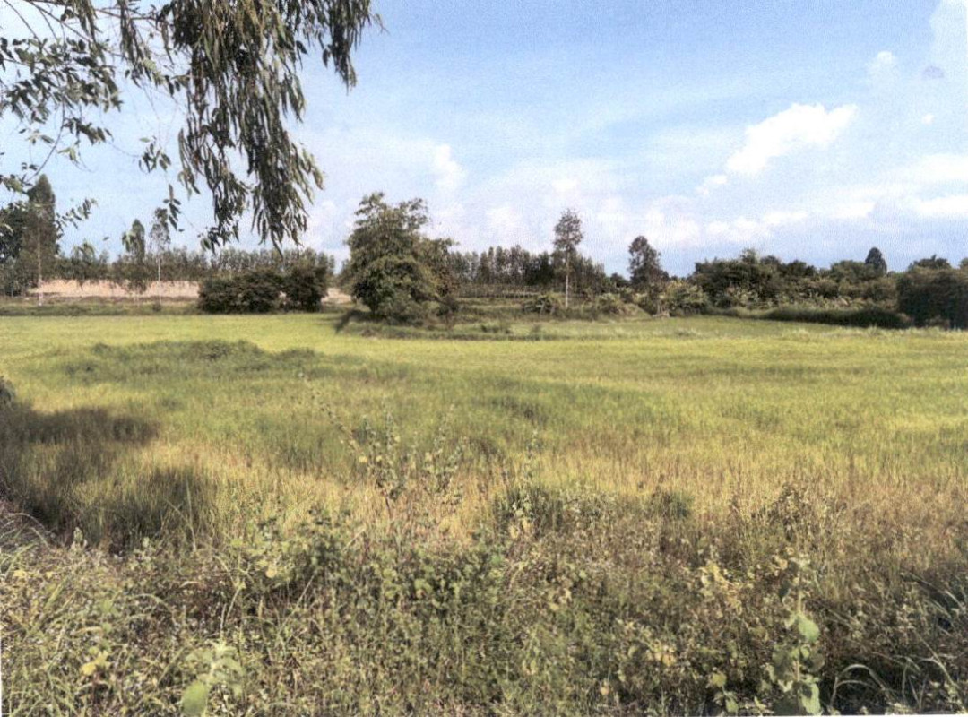 ที่ดินเปล่า กาฬสินธุ์ เมืองกาฬสินธุ์ ลำปาว 459000
