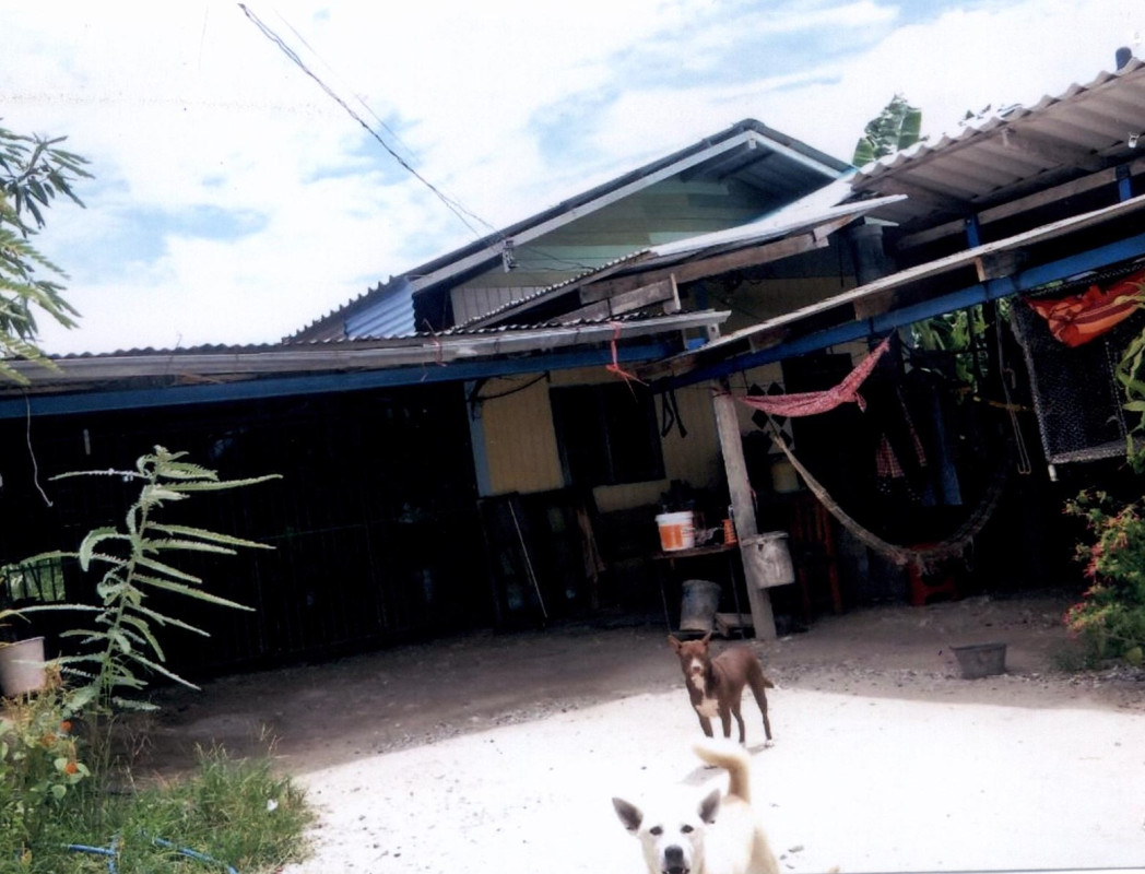 Single house Loburi Mueang Lop Buri Khok Tum 395723