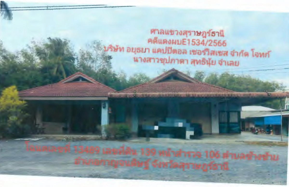 บ้านเดี่ยว สุราษฎร์ธานี กาญจนดิษฐ์ ช้างซ้าย 3865780