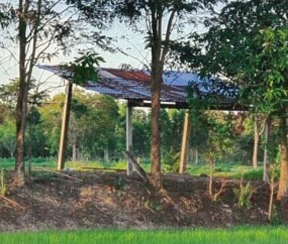 Single house Ubon Ratchathani Det Udom Na Krasaeng 365068