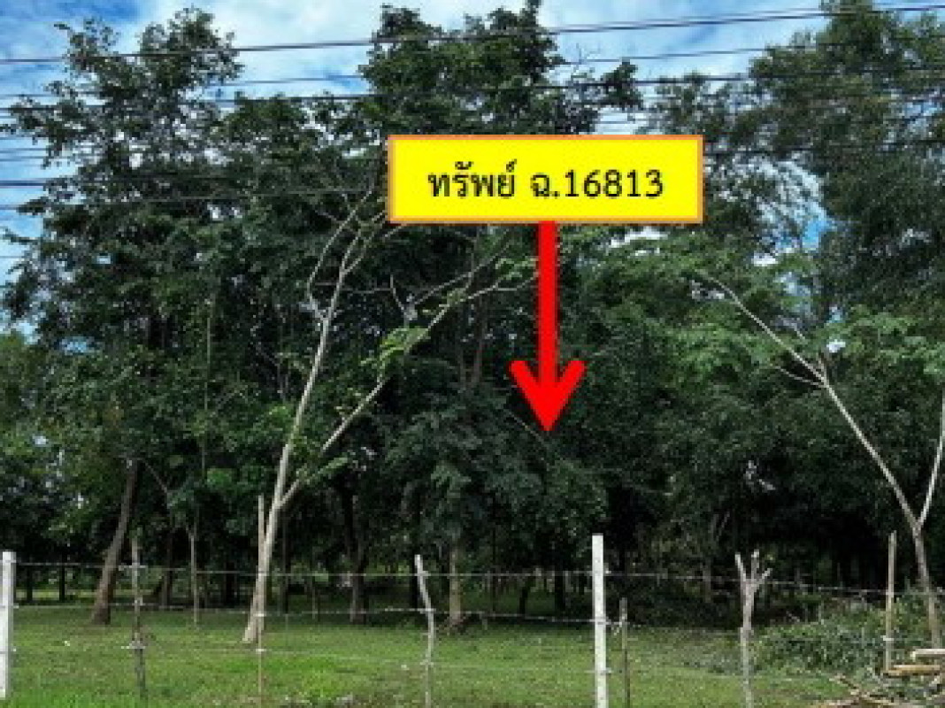 ที่ดินเปล่า กาฬสินธุ์ สมเด็จ สมเด็จ 240000