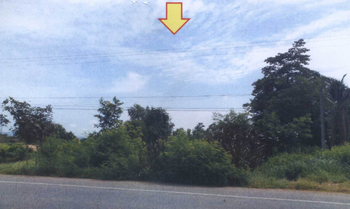 ที่ดินเปล่า กาฬสินธุ์ กุฉินารายณ์ เหล่าใหญ่ 1791300