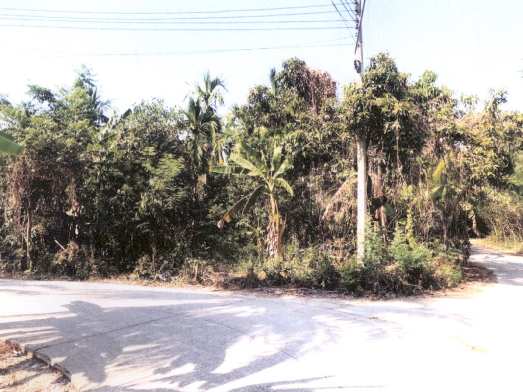ที่ดินเปล่า นครปฐม สามพราน ไร่ขิง 1208665