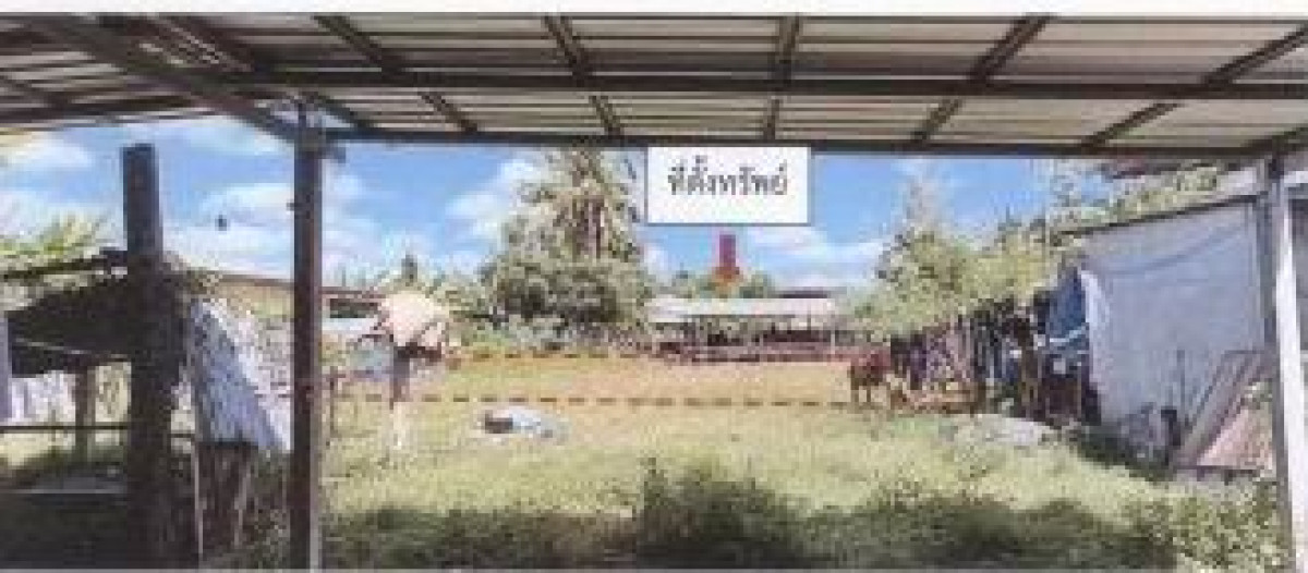 Residential land/lot Surin Rattanaburi Don Raet 7200