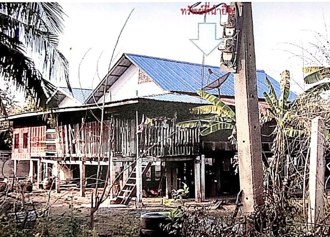 บ้านเดี่ยว สิงห์บุรี พรหมบุรี พระงาม 499644