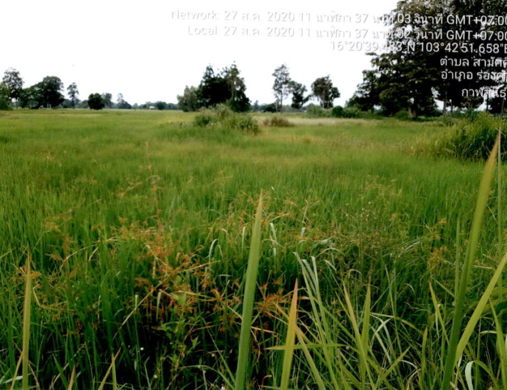 ที่ดินเปล่า กาฬสินธุ์ ร่องคำ สามัคคี 434550