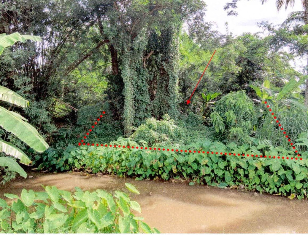 ที่ดินเปล่า ลำปาง เมืองปาน เมืองปาน 41600