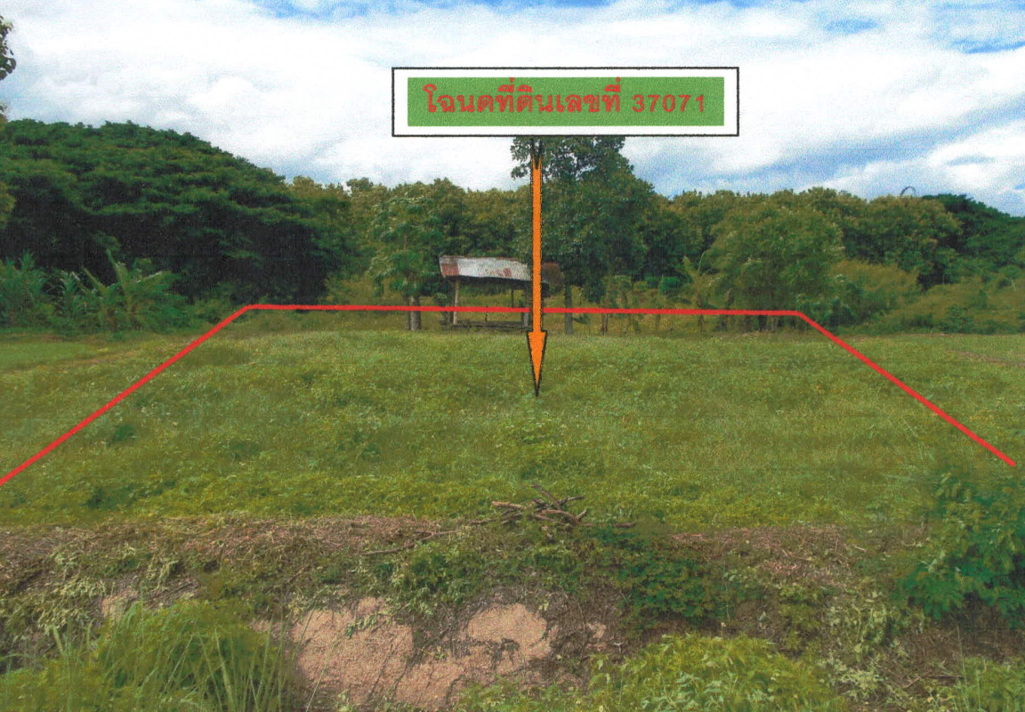 Residential land/lot Lampang Mae Tha Hua Suea 34050
