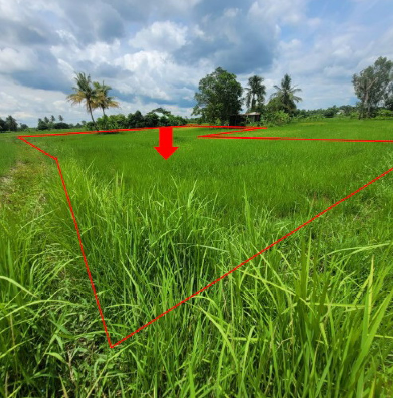 ที่ดินเปล่า กาฬสินธุ์ เมืองกาฬสินธุ์ ลำพาน 120000