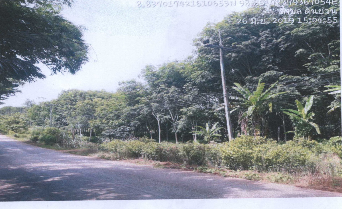 ที่ดินเปล่า สุราษฎร์ธานี พนม ต้นยวน 901500