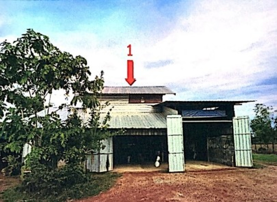 บ้านเดี่ยว กาฬสินธุ์ ฆ้องชัย โนนศิลาเลิง 872000