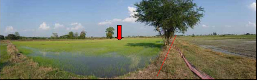 ที่ดินเปล่า สุโขทัย สวรรคโลก ในเมือง 2664000