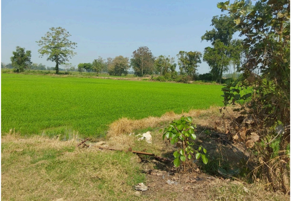 ที่ดินเปล่า สุโขทัย สวรรคโลก นาทุ่ง 6902000