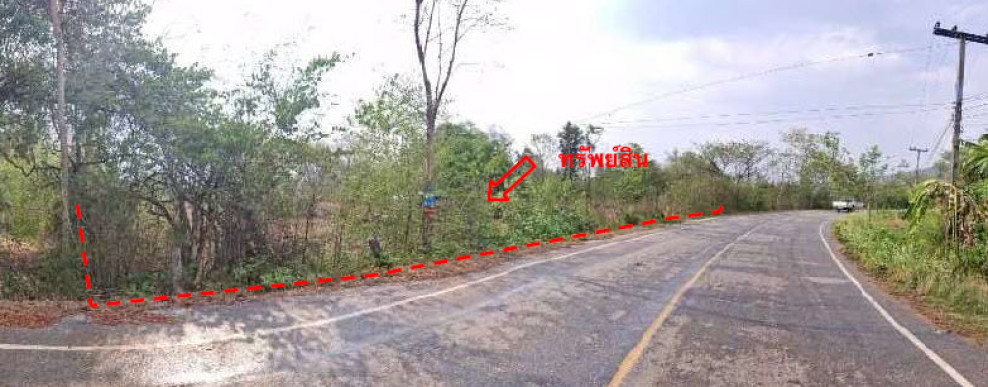 ที่ดินเปล่า หนองบัวลำภู เมืองหนองบัวลำภู หนองบัว 0
