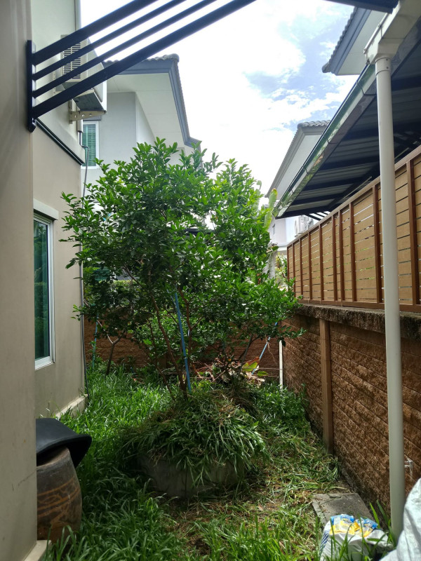 บ้านแฝด เดอะแพลนท์ ปากเกร็ด นนทบุรี ปากเกร็ด บางพัง 4200000