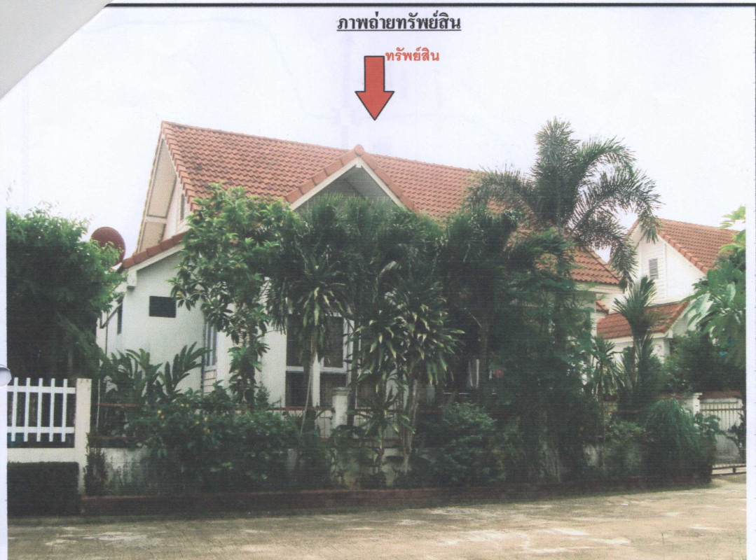 บ้านเดี่ยว สุราษฎร์ธานี เมืองสุราษฎร์ธานี บางกุ้ง 1114656