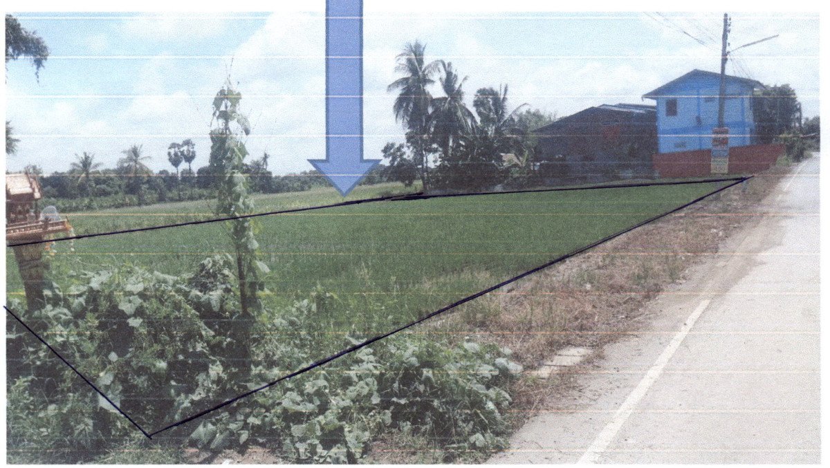 Residential land/lot Sukhothai Sawankhalok Wang Mai Khon 454000
