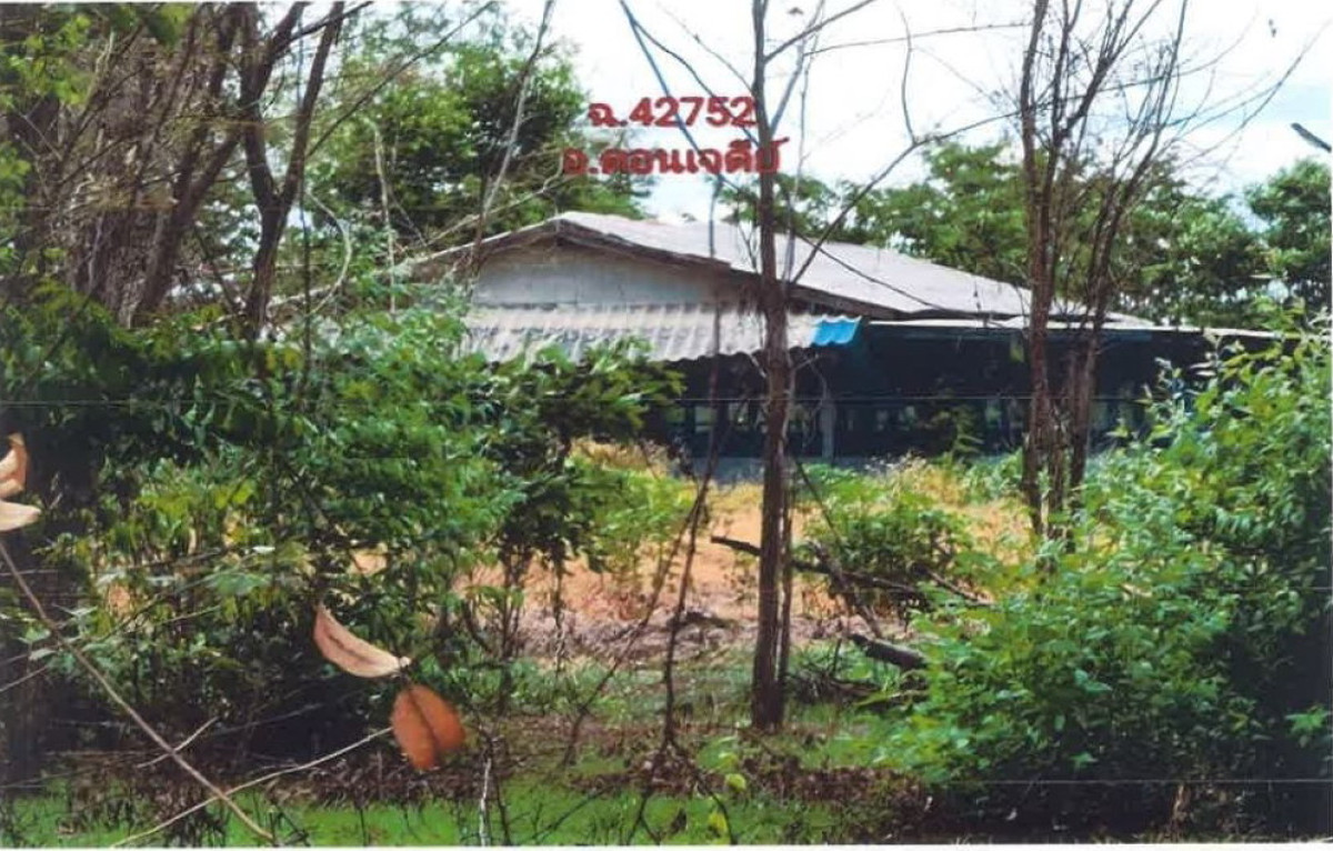บ้านเดี่ยว สุพรรณบุรี ดอนเจดีย์ ทะเลบก 1284050