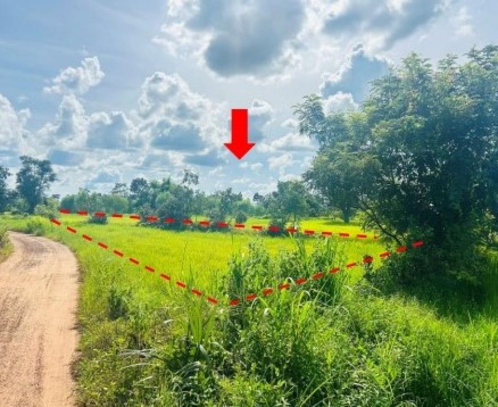 ที่ดินเปล่า อุบลราชธานี ม่วงสามสิบ หนองฮาง 44304